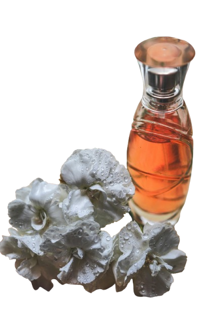 Energy Collection Products